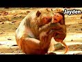 Sqeeze Neck Mum Jade Block Jayden Airway Baby Jaden Cries Tingling Hurt Call Help