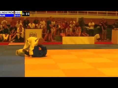 Judo Nordic Championships 2014: M-73: LINDSTRÖM - NJIE