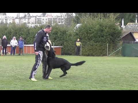 Svod NO 2017 - Dorian Via Vernalis