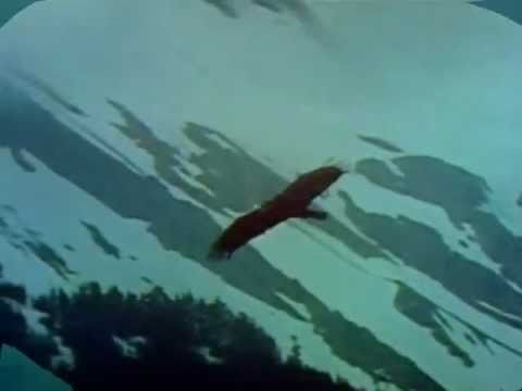 Nazmi Belica-Përse-