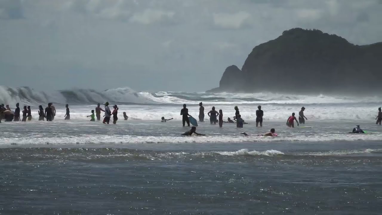Piha surfing beach, Auckland