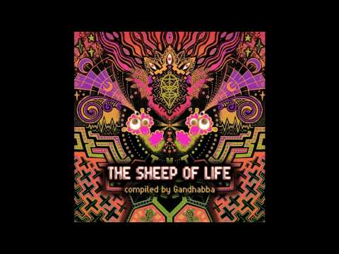 Aurokarya - Baj Bajania