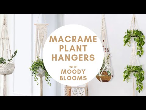 , title : 'Macrame wall hanging plant hanger 4 pack review - Moody Blooms'