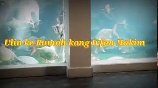 Download lagu Berkunjung ke Rumah Irfan  Hakim. Liat koleksi satwanya ajib bener mp3