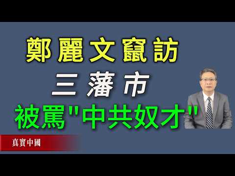 郑丽文窜访旧金山被骂&ldquo;中共奴才，出卖台湾的国贼&rdquo;。