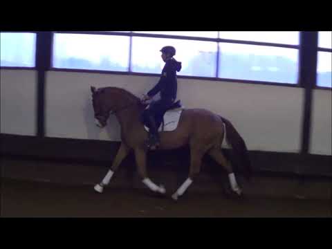 Bolschoi v  Borsalino