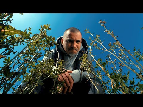 GuerrillerOkulto - Contradicción Natural - video oficial