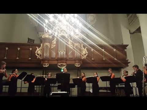 Neflac Ensemble Combiconcert Dokkum