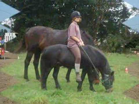 Cheval & Poney : Mon Centre Equestre Manager PC