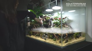 The SMALLest Snakehead in 90cm Waterfalls Aquaterrarium DIY l No Co2,No Filter,No Ferts l stepbystep