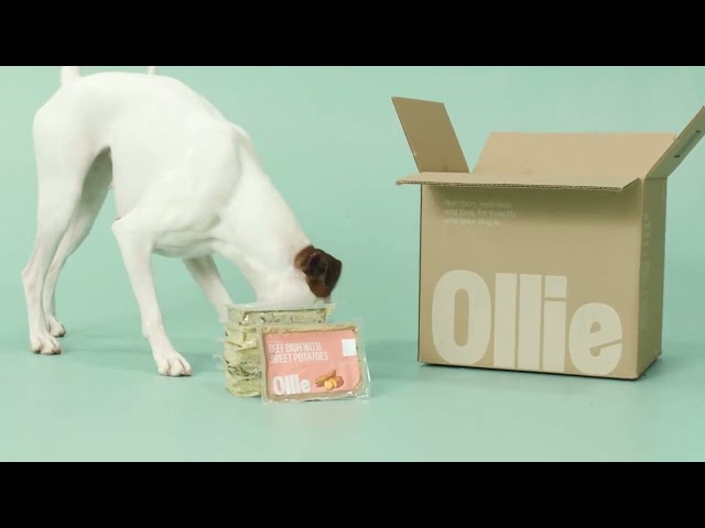 About Ollie Pets