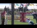 Qleopatre OLIVA 2015 Csi Bronze 140