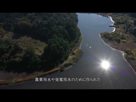 【2024年度】山下の池