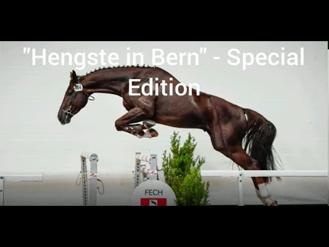 Hengste in Bern 2021 - Episode 3