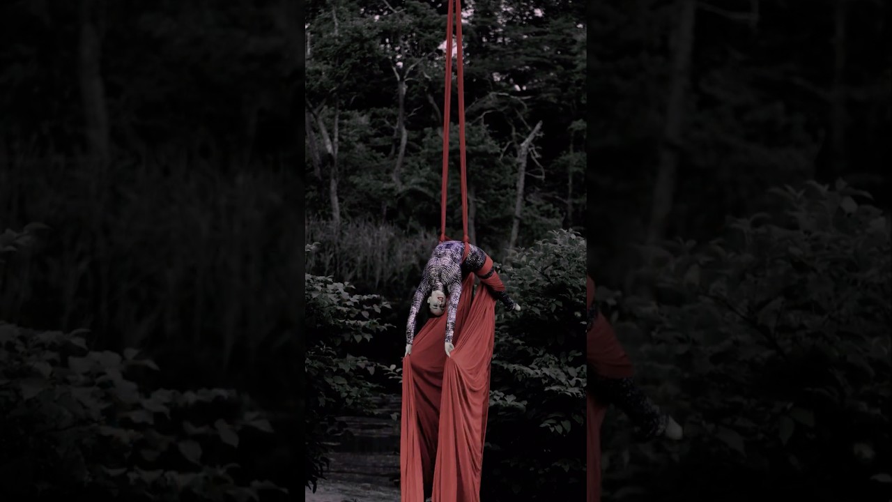 Promotional video thumbnail 3 for Jessica Lynn, Aerial and Performance Art