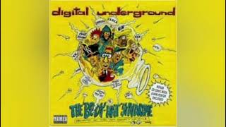 Digital Underground - Wussup Wit The Love