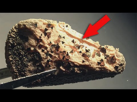 Archaeologists Tried to Hide These Discoveries, but the Truth Came Out by Accident