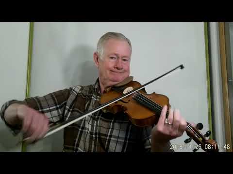Gliga Maestro violin 1 Helicore strings Billy in the low ground