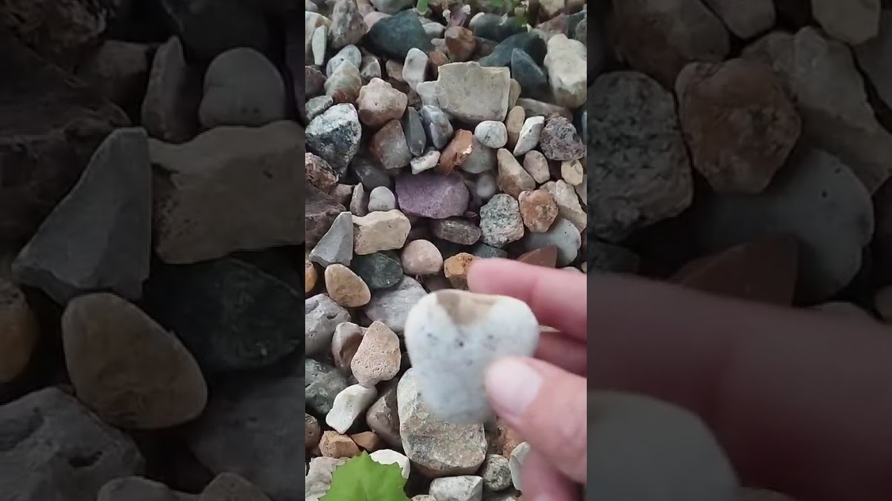 Приятное с полезным