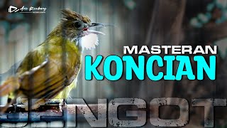 Download lagu CUCAK JENGGOT GACOR KUNCI MASTERAN GESEKAN PALING TAJEM mp3