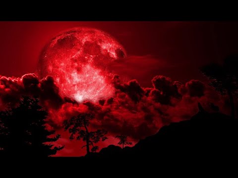 Paranoia -Daria (cover by WENSIA)