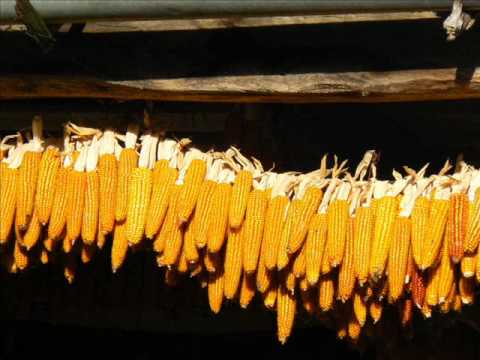 Oj jesenske duge noći