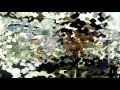 2014 Grammy Awards Live MrOneZion Break Me Athens Greece LOUD Nicos Ganos