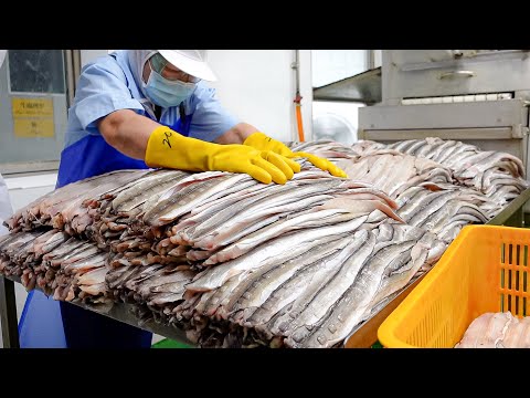 Canned Braised Eel Mass Production, Century Egg Eel Congee / 紅燒鰻魚罐頭量產 - Food Factory