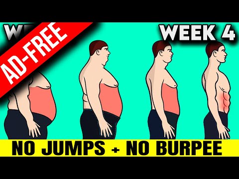 No Ads Daily Routine You MUST Do To LOSE MAN BOOBS