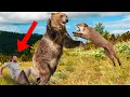 11 Animals That SAVED Human Lives