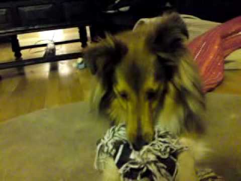 Wilmer - Happy Birthday