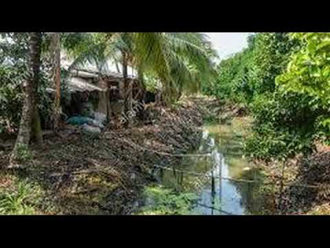 Les Baxter   Quiet Village