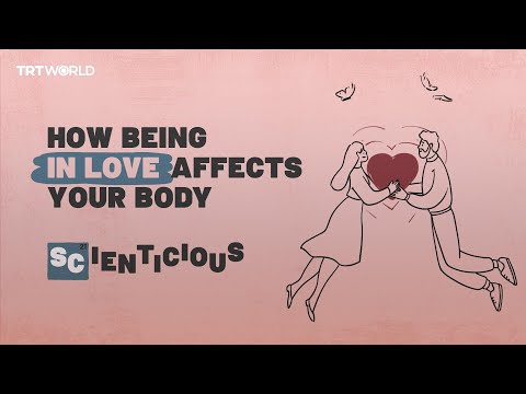 What happens when you fall in love? | Scienticious - Episode 5