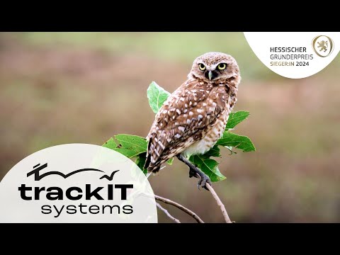 Video: trackIT Systems – winner Hessischer Gründerpreis 2024