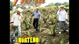 TRIO FURIA HIDALGUENSE   SOY UN RANCHERO