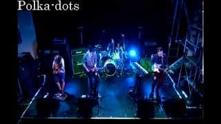 polka-dots live