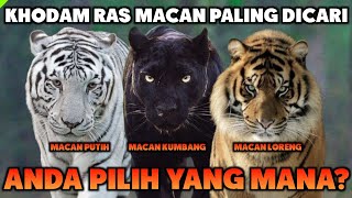 Download lagu Inilah 3 Jenis Khodam Macan Yang Paling Terkenal mp3 Download lagu Inilah 3 Jenis Khodam Macan Yang Paling Terkenal mp3