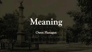 Meaning: Owen Flanagan