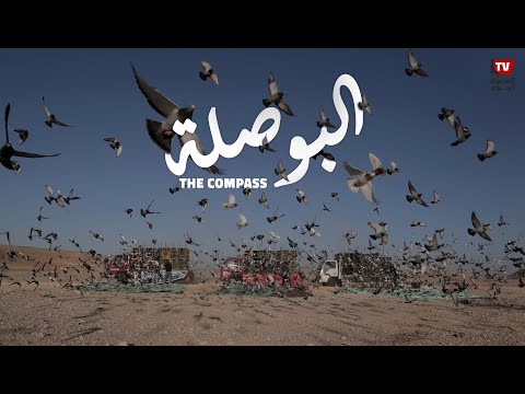 The Compass - البوصلة