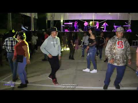 LLORAR, LLORAR- ORGANO JUVENTUD MIXTECO (EN VIVO)  SAN MARTIN ZACATEPEC, HUAJUAPAN DE LEON, OAXACA