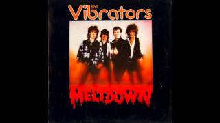 Vibrators - So young