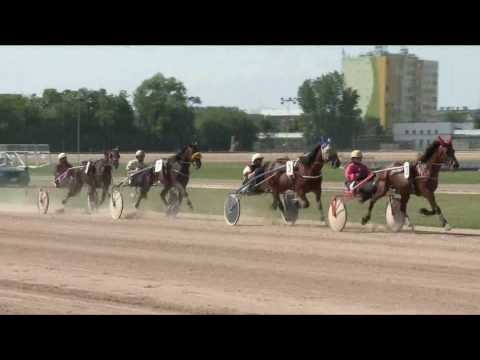 2017.05.20. 4. futam - VALLEY GUARDIAN HENDIKEP