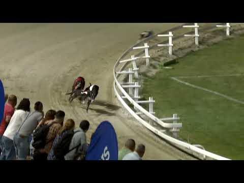 2022.06.16. 09. futam - Kincsem Park Magyar Derby Negyeddöntő IV. futam