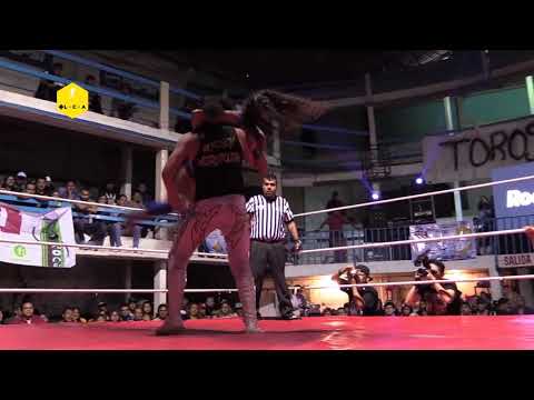 P. Aéreo, P. Azul, Torito Negro y Baby Star vs Kempo Jr, Sirius, Venus y Tiago, Mexa Wrestling