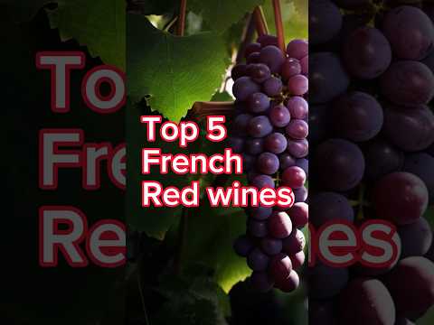 Top 5 french red wines. #shortvideo #wine #sommelier #winetasting #funfacts #winery #champagne