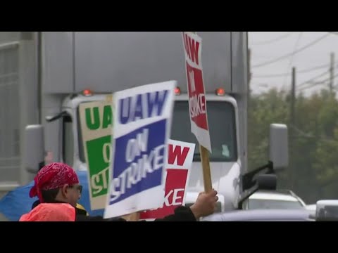 download lagu mp3 mp4 Mns Membership, download lagu Mns Membership gratis, unduh video klip Mns Membership