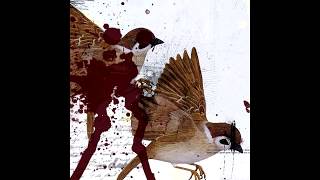 Bring Me the Horizon - This is What The Edge of Your Seat Was Made For (Full EP) [2004]