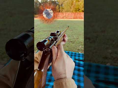 Beautiful Browning T-Bolt Sporter On Maple Wood