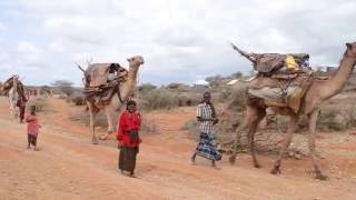 Zamzam Foundation-Video 2016