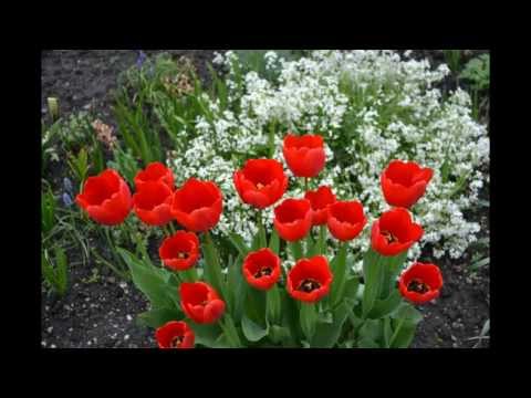 Loretánská litanie (Na Kylešovské)